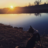 Charlene H's Photo