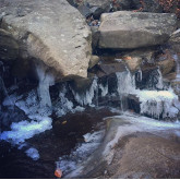 Charlene H's Photo