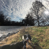 Charlene H's Photo