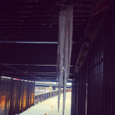 Charlene H's Photo