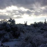 Kevin "Handlebars" Goldstein's Photo
