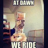 Nik Johnson's Photo