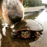 Charlene H's Photo